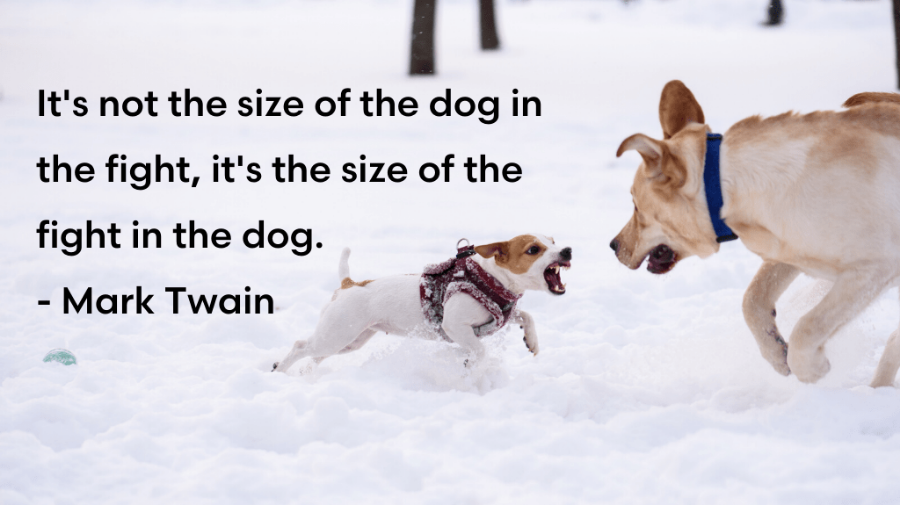 Its-not-the-size-of-the-dog-in-the-fight-its-the-size-of-the-fight-in-the-dog.-Mark-Twain.png.f95f4605911808a82f8b76a9eec6db17.png